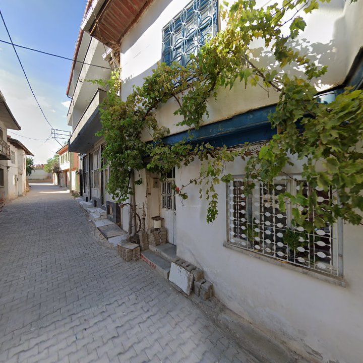 Fotoğraf 3