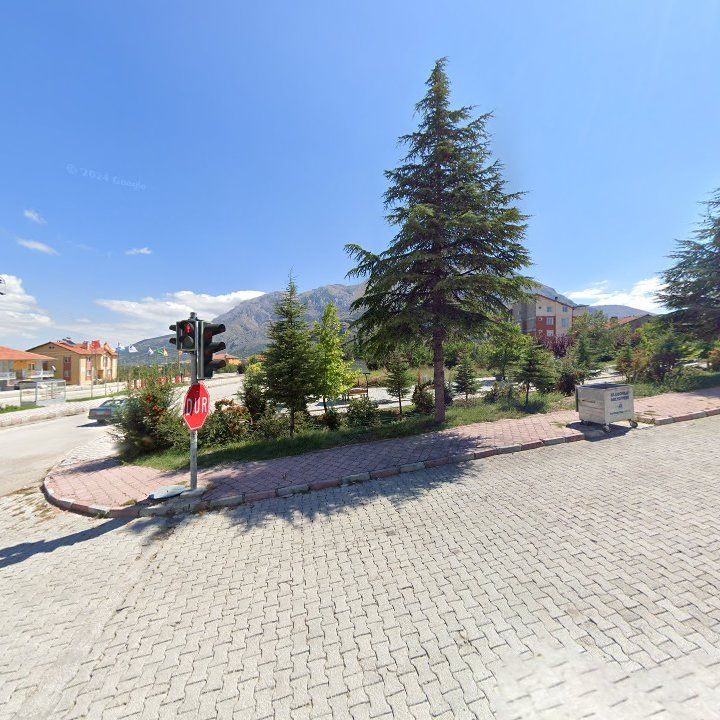 Fotoğraf 5