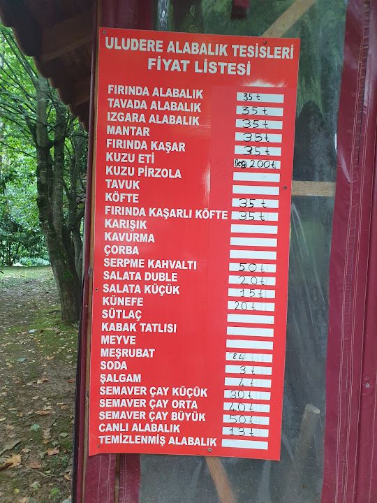 Fotoğraf 33