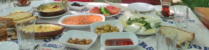 Fotoğraf 28