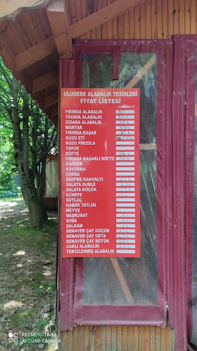 Fotoğraf 34