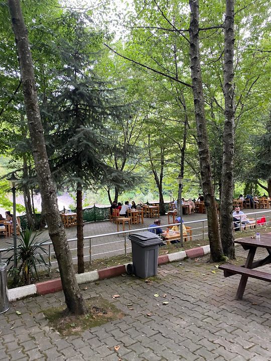 Fotoğraf 40