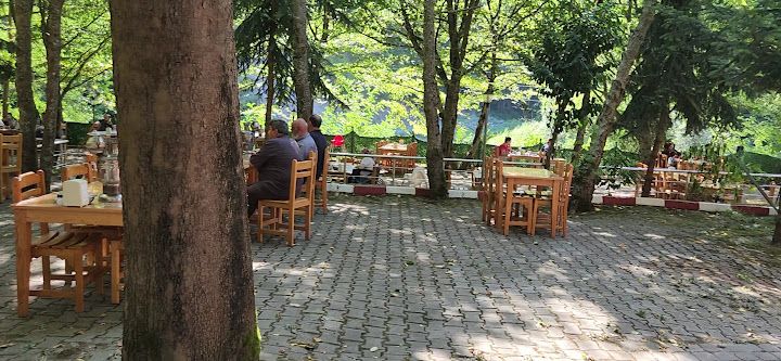 Fotoğraf 12