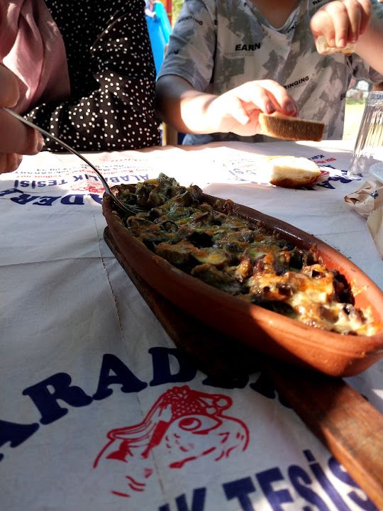 Fotoğraf 24