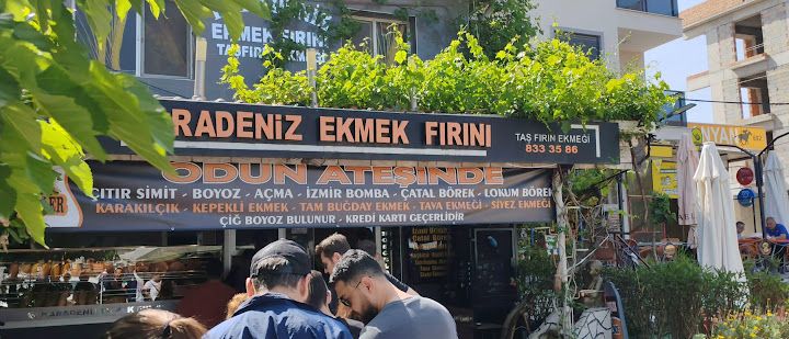 Fotoğraf 14