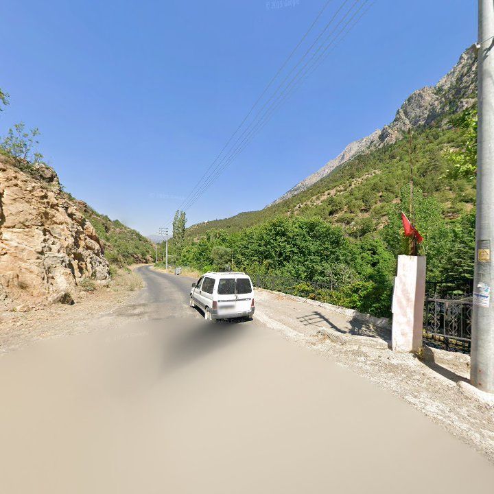 Fotoğraf 10