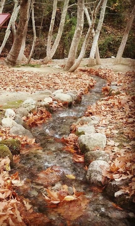 Kırkpınar Alabalık Tesisi