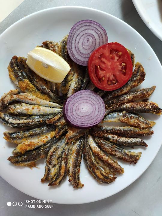 Fotoğraf 37