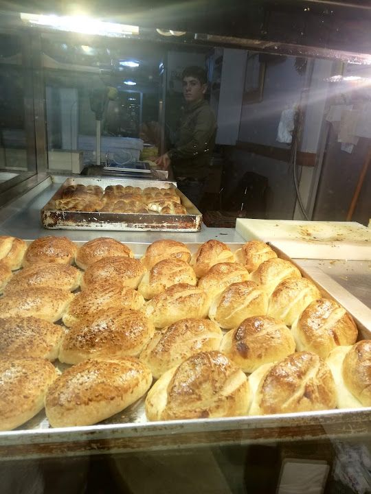 Fotoğraf 9