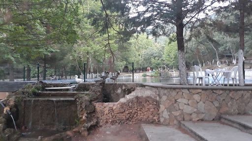 Yorum fotoğrafı 6
