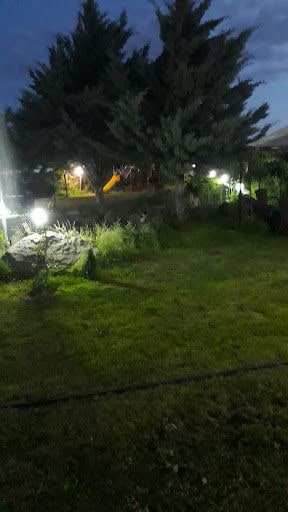 Yorum fotoğrafı 5