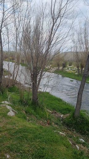 Yorum fotoğrafı 6