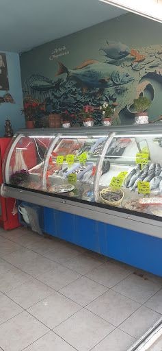 Fotoğraf 12