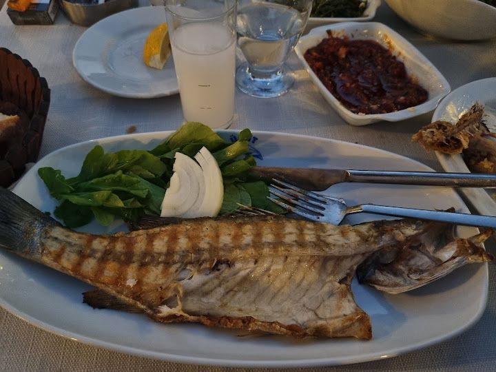 Fotoğraf 41