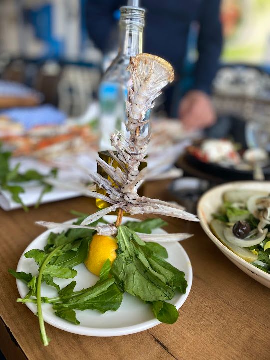 Fotoğraf 48