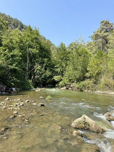 Yorum fotoğrafı 10