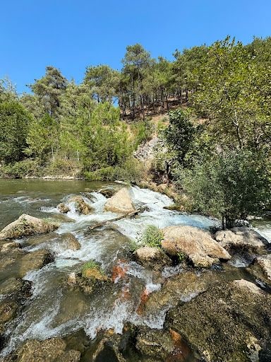 Yorum fotoğrafı 4