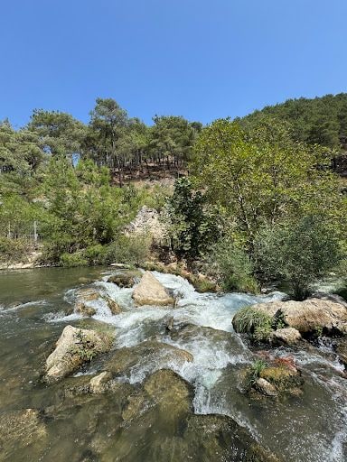 Yorum fotoğrafı 5