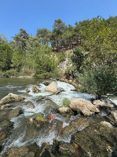 Yorum fotoğrafı 6