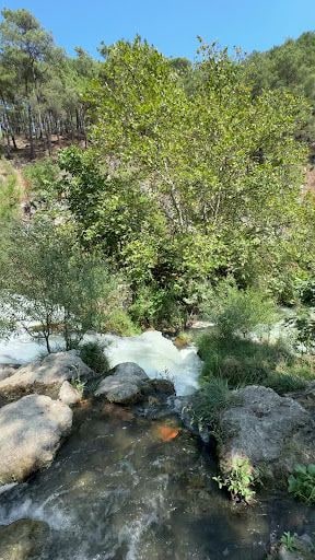 Yorum fotoğrafı 7
