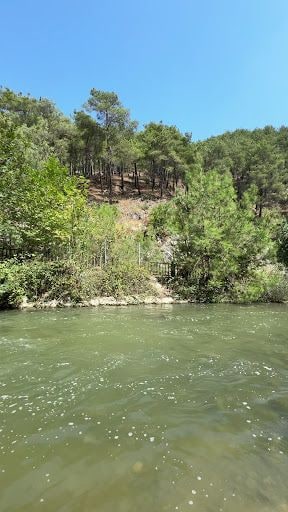 Yorum fotoğrafı 9