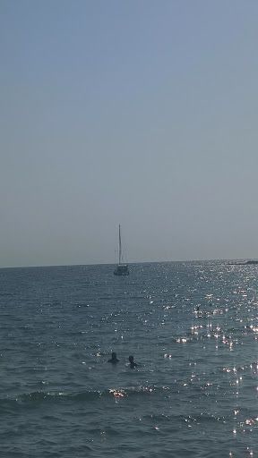 Fotoğraf 12