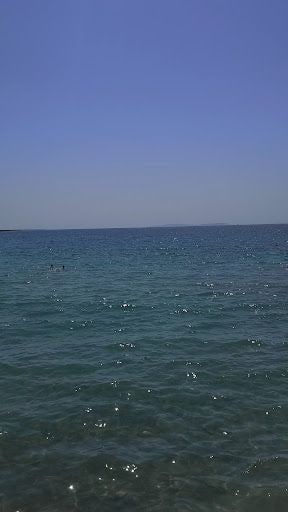 Fotoğraf 13