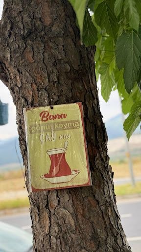 Fotoğraf 21