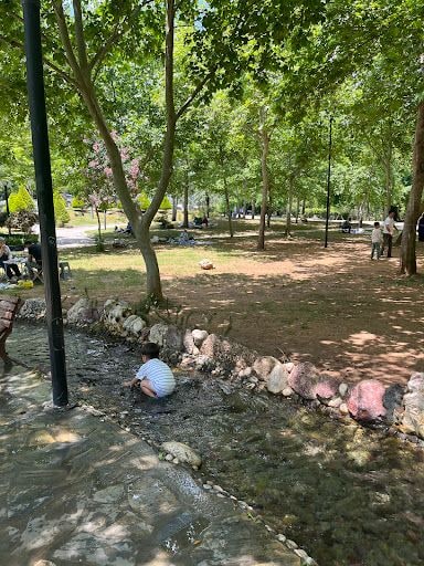 Yorum fotoğrafı 4