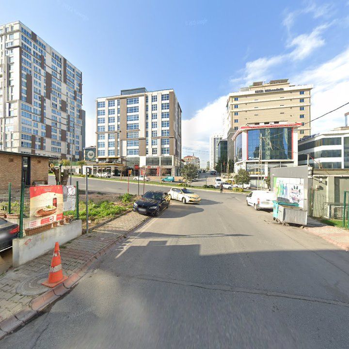 Fotoğraf 10