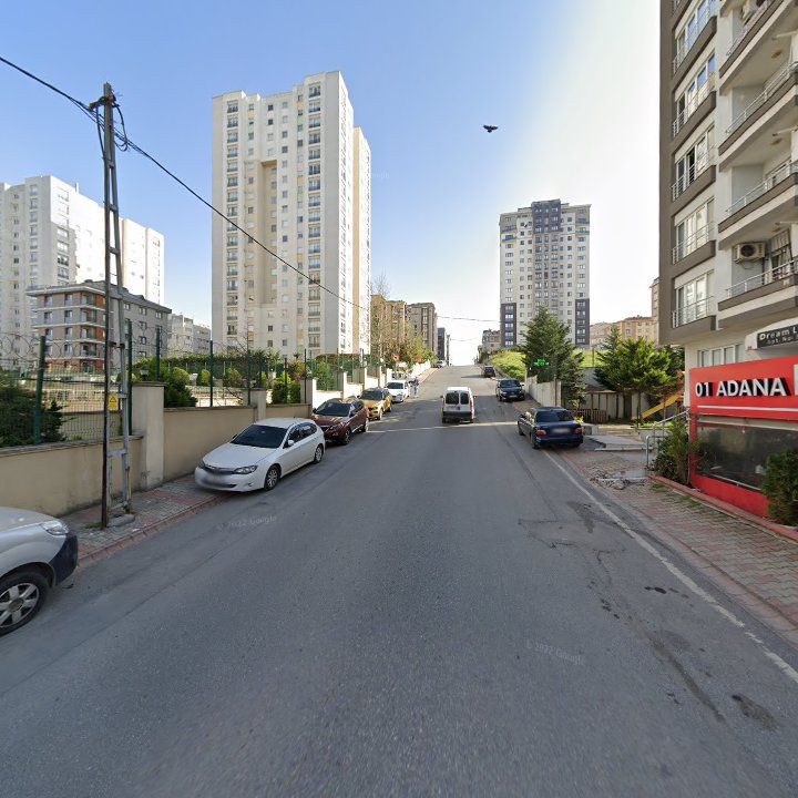 Fotoğraf 12