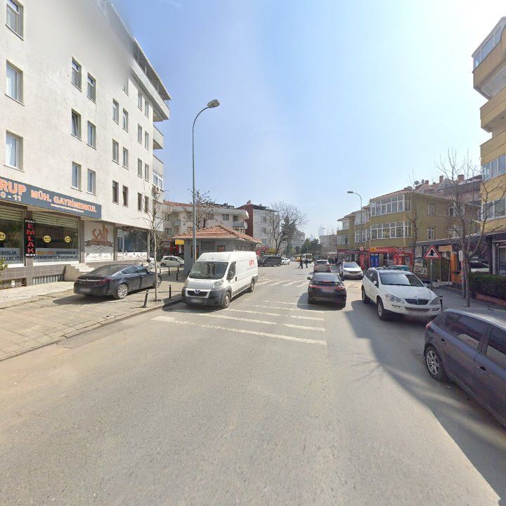 Fotoğraf 12