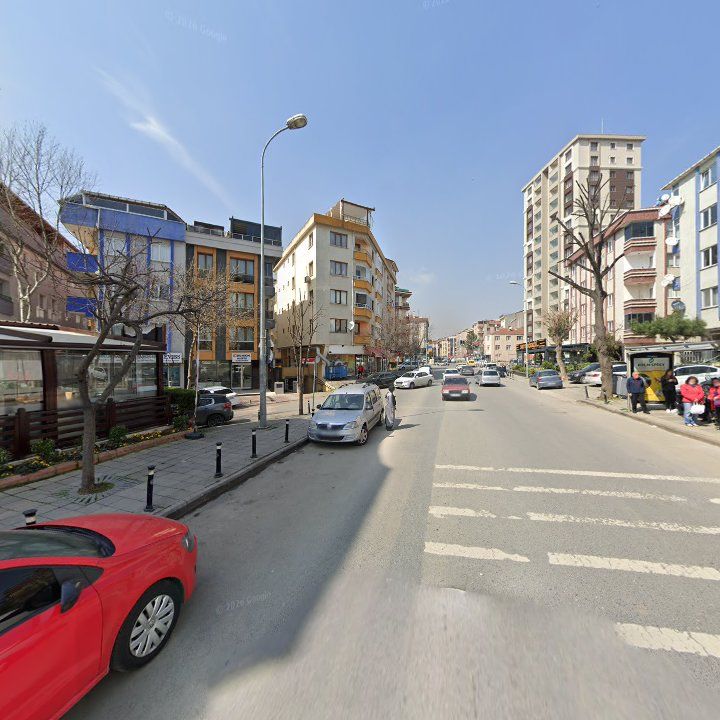 Fotoğraf 10