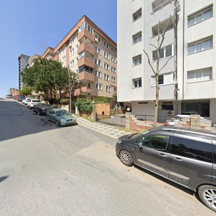 Fotoğraf 11