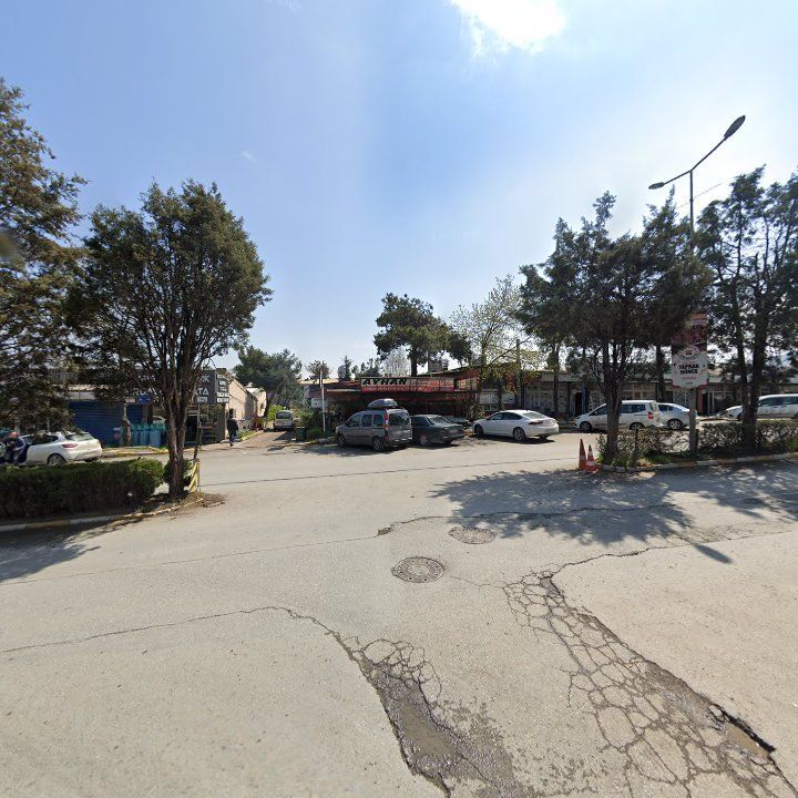 Fotoğraf 3
