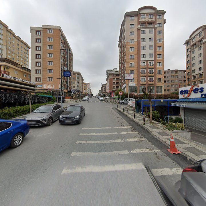 Fotoğraf 12
