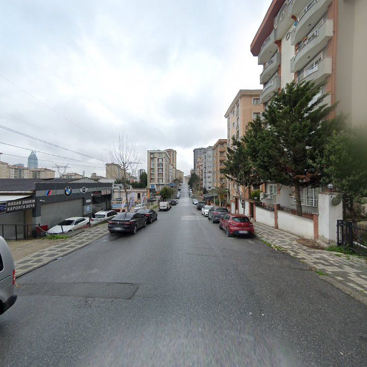 Fotoğraf 12