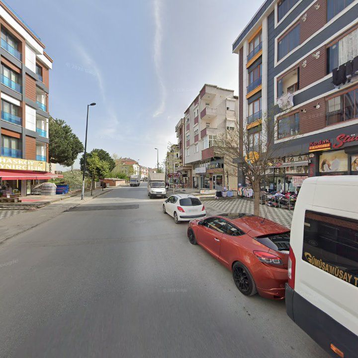 Fotoğraf 10
