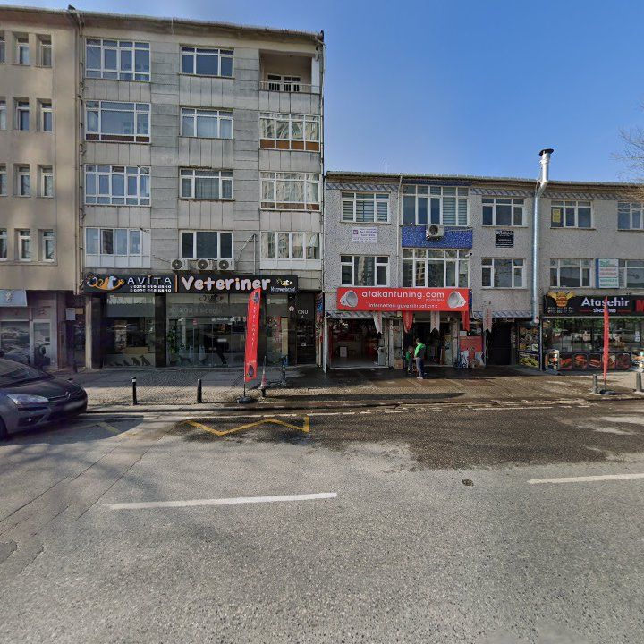Fotoğraf 9