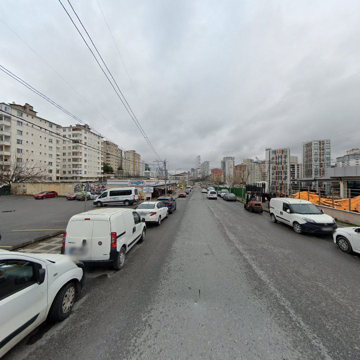 Fotoğraf 12