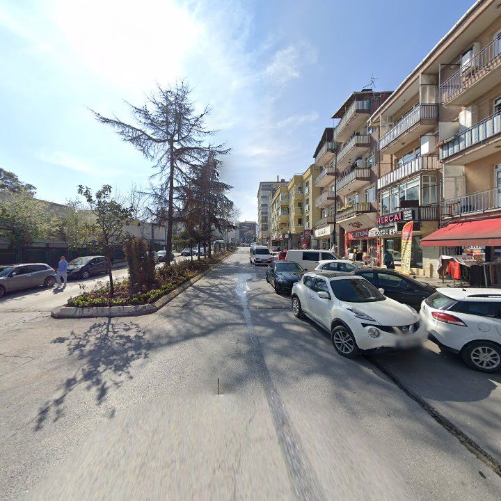Fotoğraf 12