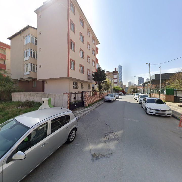 Fotoğraf 16
