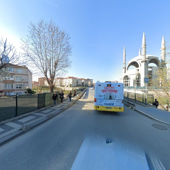 Fotoğraf 8