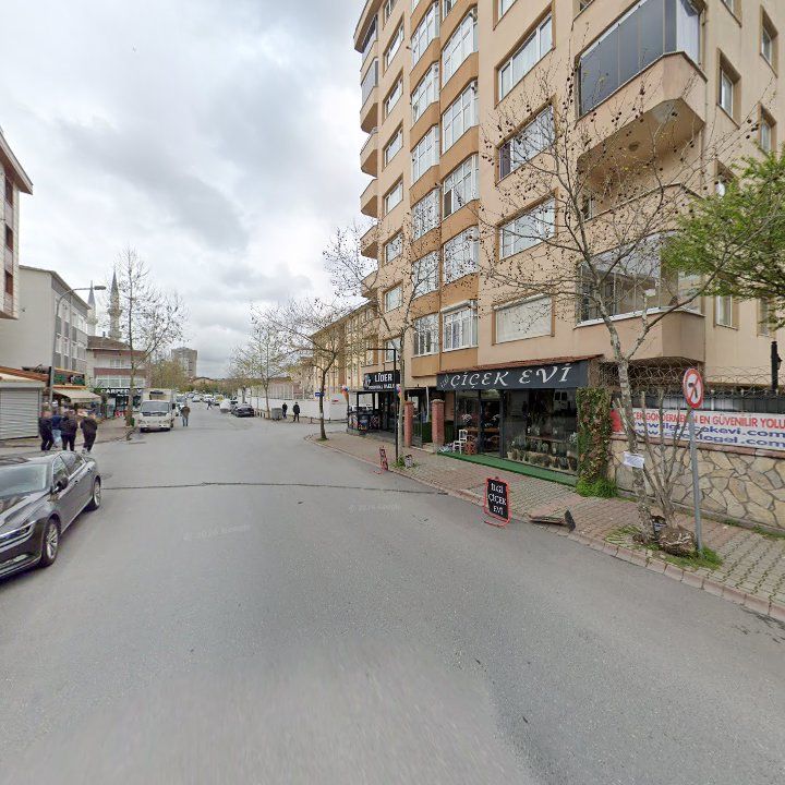 Fotoğraf 9