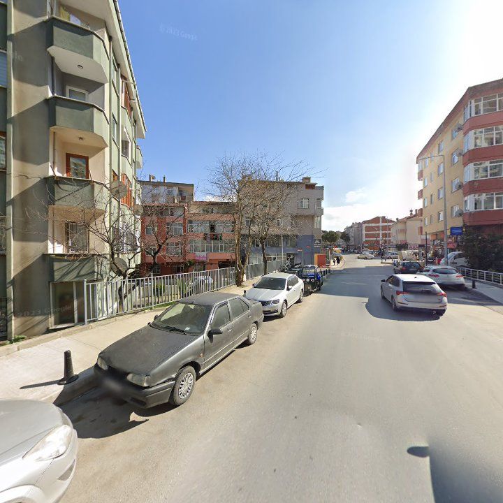 Fotoğraf 10