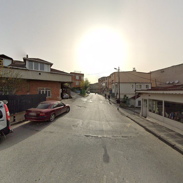Fotoğraf 12