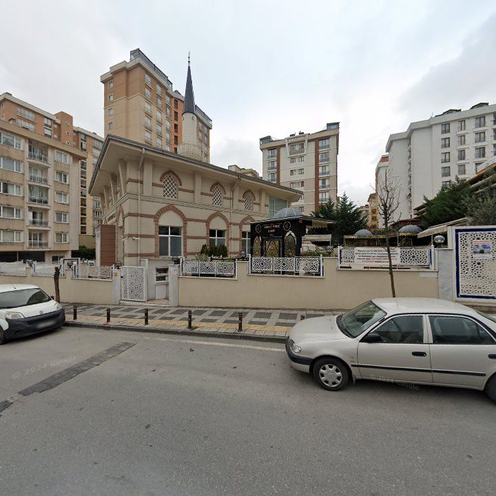 Fotoğraf 11
