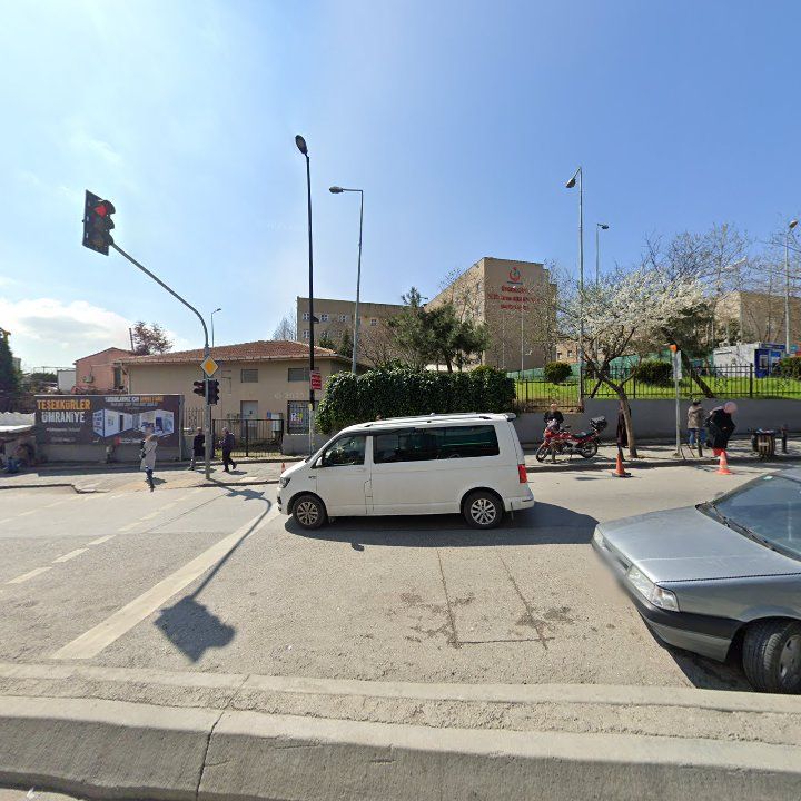 Fotoğraf 10