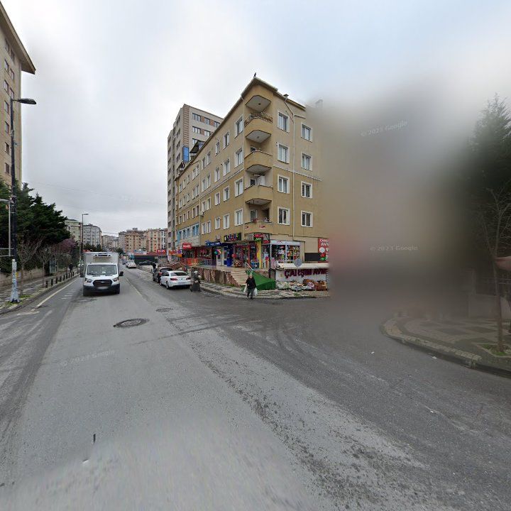 Fotoğraf 17
