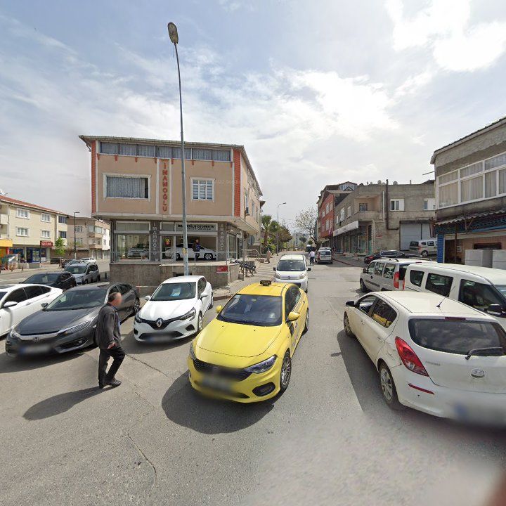 Fotoğraf 11